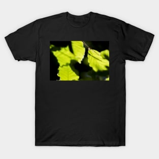Life on a leaf T-Shirt
